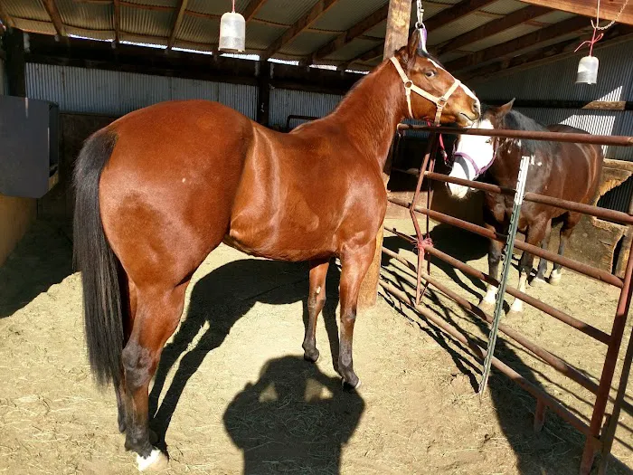 Hillcrest Village Picture 3