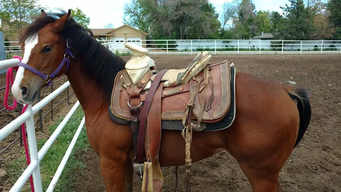 Hillcrest Village Picture 2