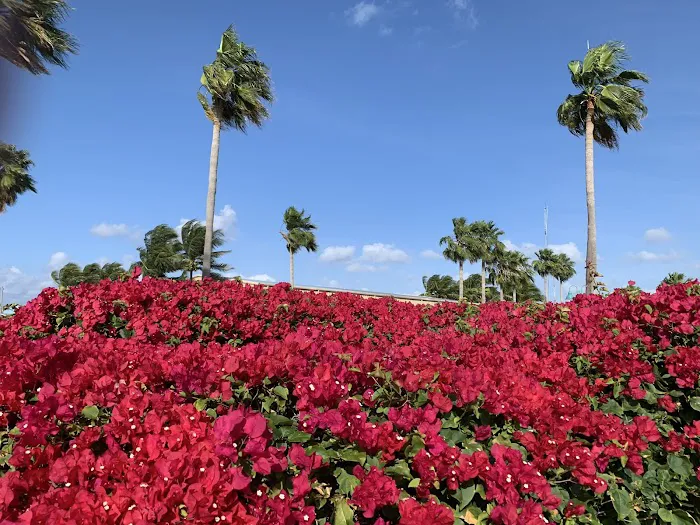 Hillcrest Village Picture 7