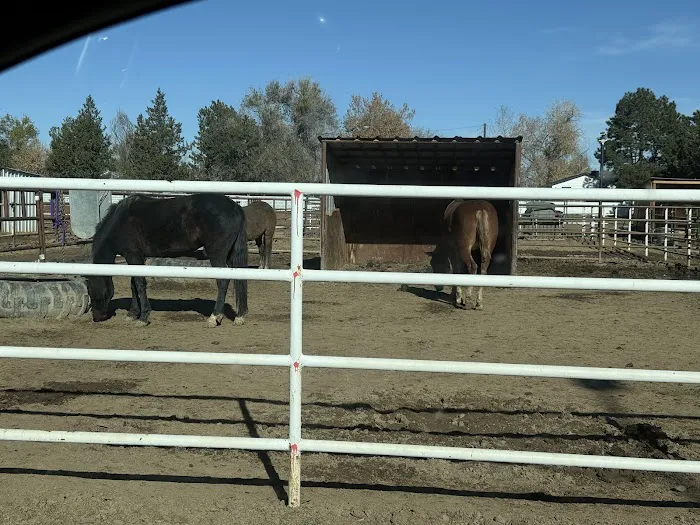 Hillcrest Village Picture 4