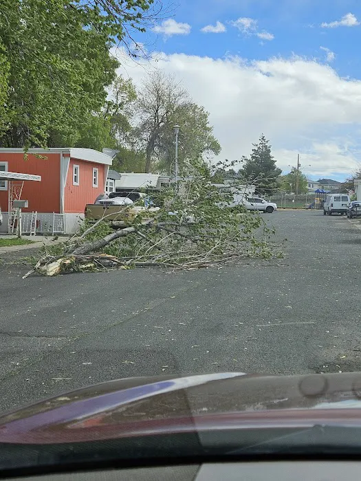 Hillcrest Village Picture 6