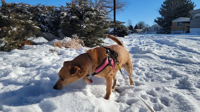 Green Acres Picture 8