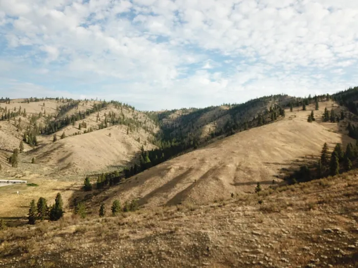 Summerhill Farm RV Park Picture 10