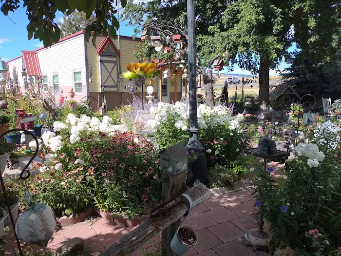 Douglas RV Park Picture 10