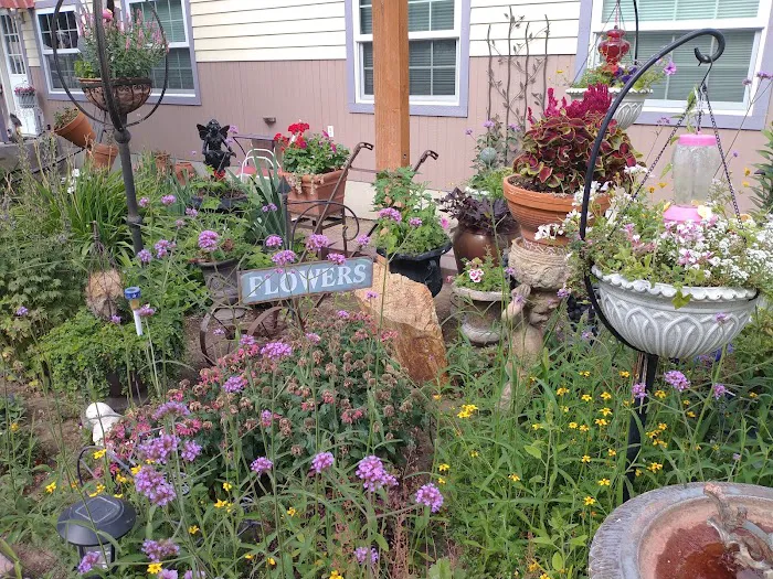 Douglas RV Park Picture 4