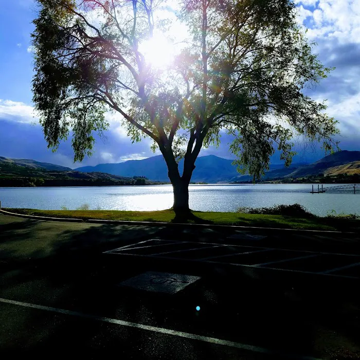 Columbia Cove RV Park Picture 8