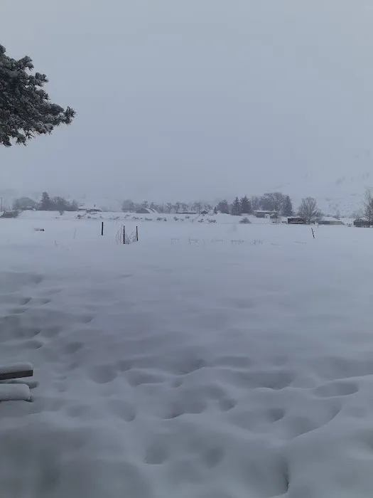 Carlton RV Park Picture 1