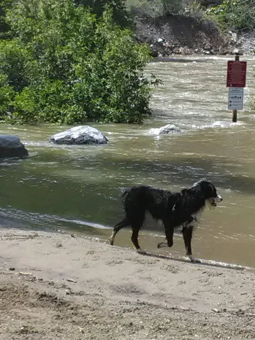 Carlton RV Park Picture 4