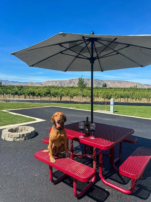 The Park at Lone Point Cellars Picture 4