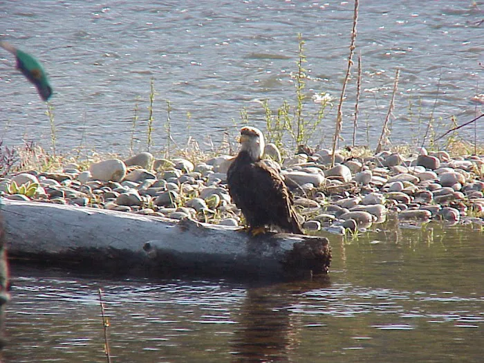 Riverbend RV Park Picture 10