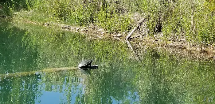 Marine RV Park Picture 7