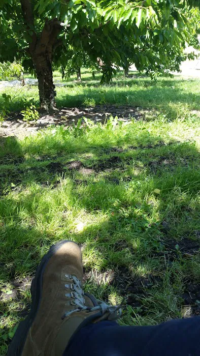 Marine RV Park Picture 4