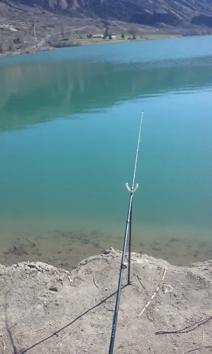 Marine RV Park Picture 2