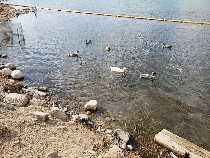 Marine RV Park Picture 10