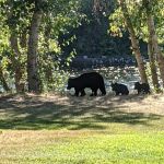 Wenatchee River County Park