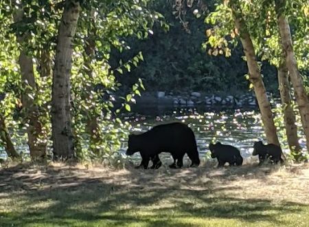 Wenatchee River County Park
