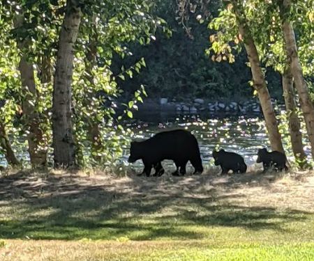 Wenatchee River County Park
