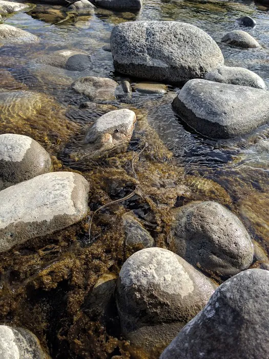 Wenatchee River County Park Picture 8