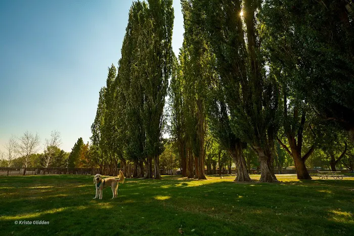 Wenatchee River County Park Picture 7