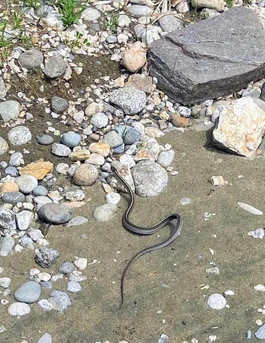 Riverside Mobile Home Park East Wenatchee WA Picture 1