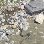 Riverside Mobile Home Park East Wenatchee WA