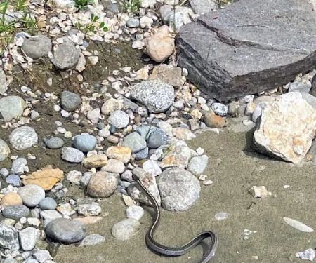 Riverside Mobile Home Park East Wenatchee WA