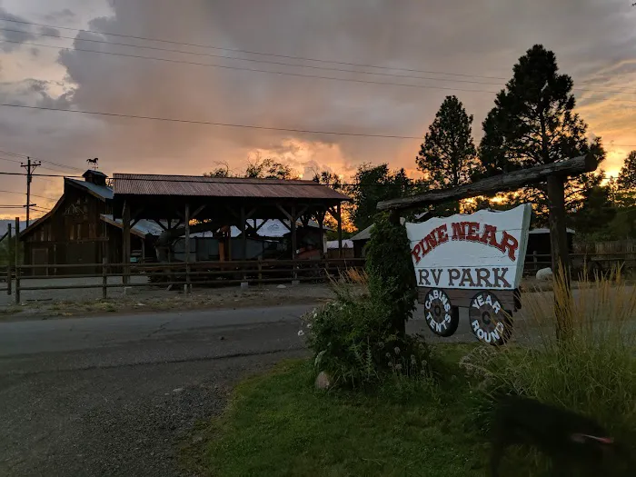 Pine Near RV Park & Campground Picture 3