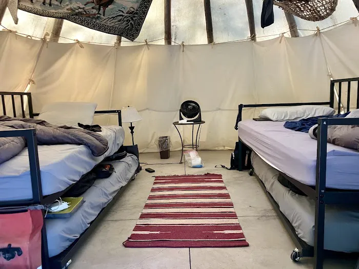 Pine Near RV Park & Campground Picture 2