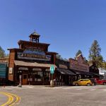 Pine Near RV Park & Campground