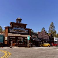 Pine Near RV Park & Campground ico