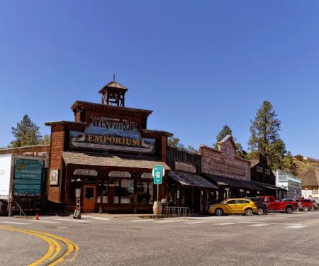Pine Near RV Park & Campground