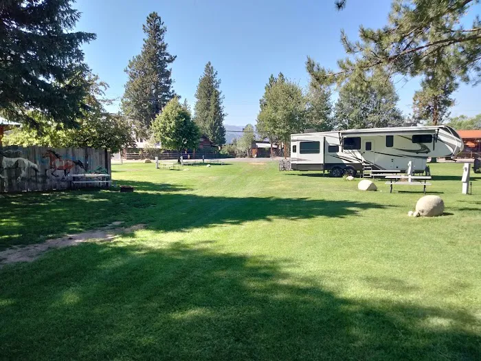 Pine Near RV Park & Campground Picture 9