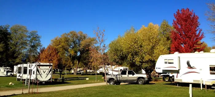 Pine Near RV Park & Campground Picture 8