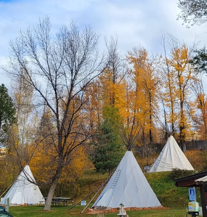 Pine Near RV Park & Campground Picture 6