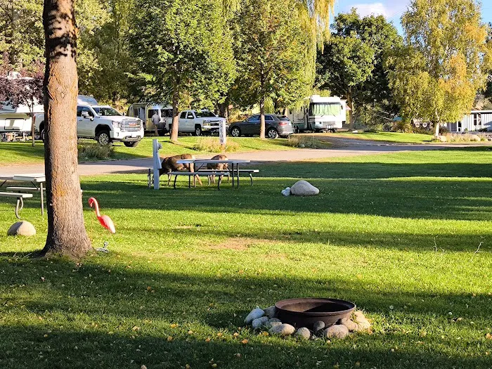 Pine Near RV Park & Campground Picture 10