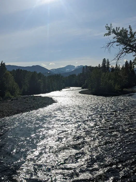 Pine Near RV Park & Campground Picture 7