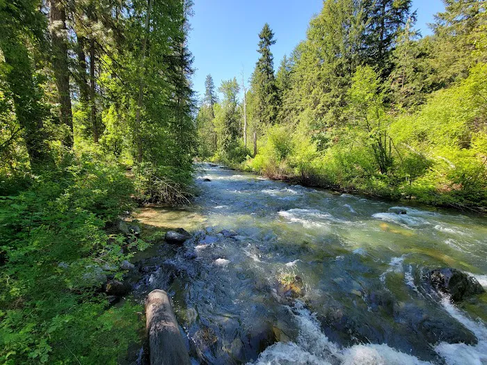 Blu-Shastin RV Park Picture 7