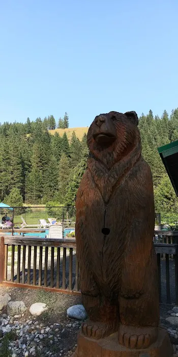 Blu-Shastin RV Park Picture 2