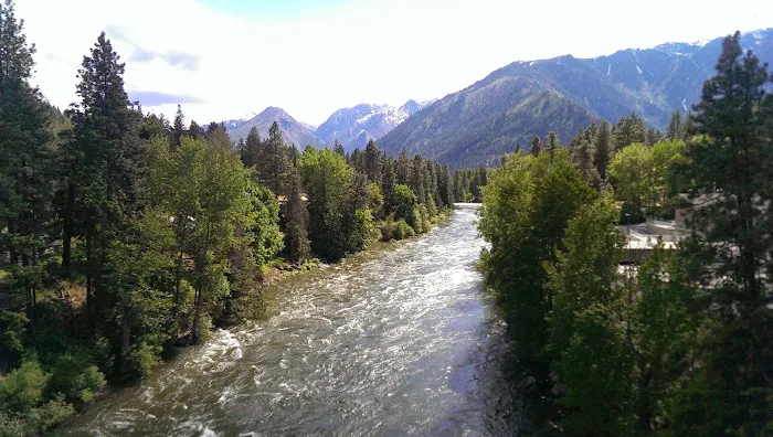 Alpine RV Park & Campground Picture 4