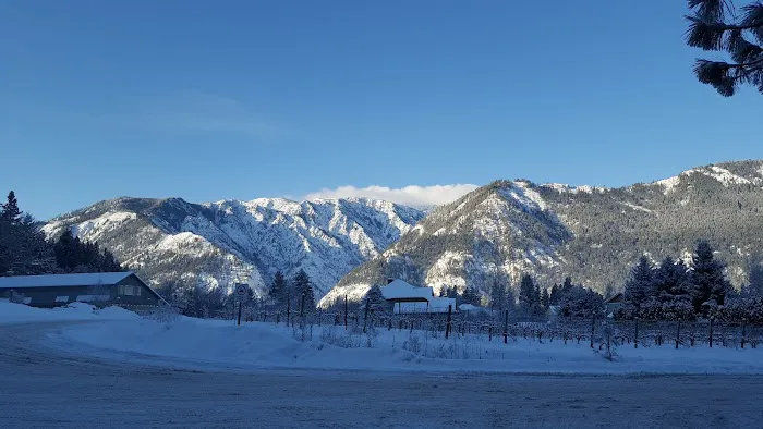 Alpine RV Park & Campground Picture 5