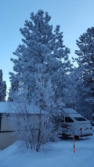 Alpine RV Park & Campground Picture 6