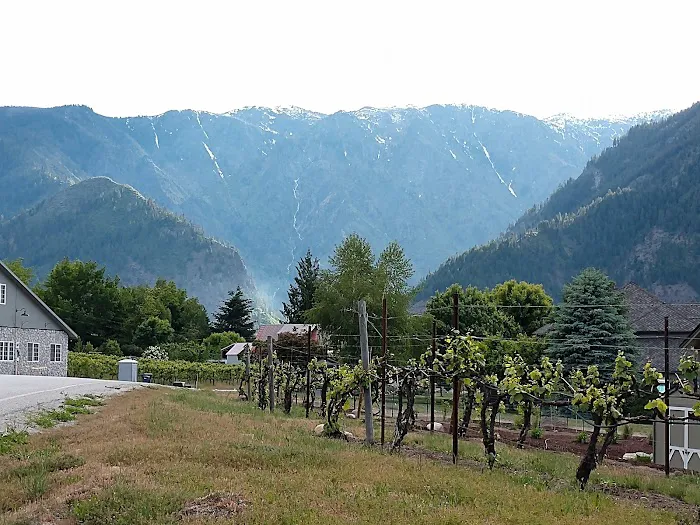 Alpine RV Park & Campground Picture 10