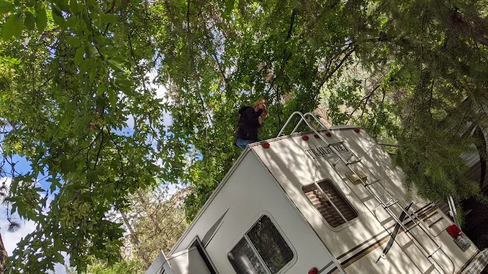 Icicle River RV Park Picture 3