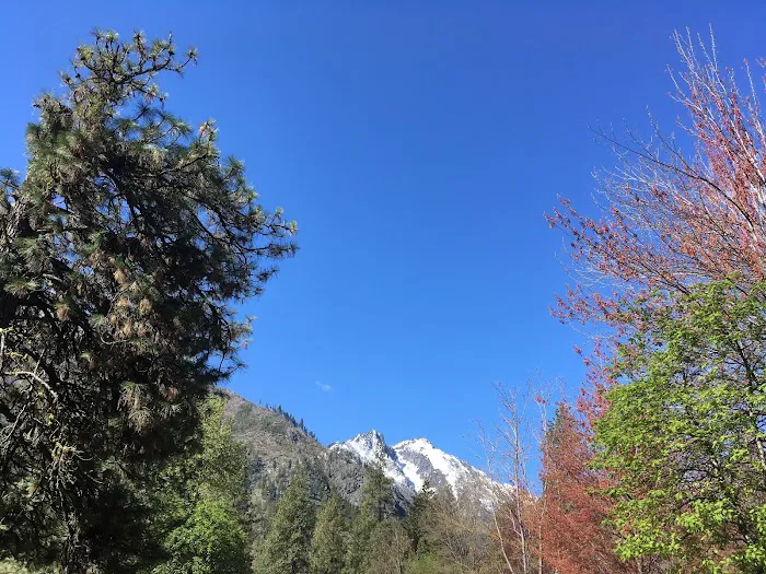 Icicle River RV Park Picture 1