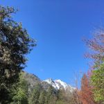 Icicle River RV Park