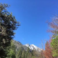 Icicle River RV Park ico
