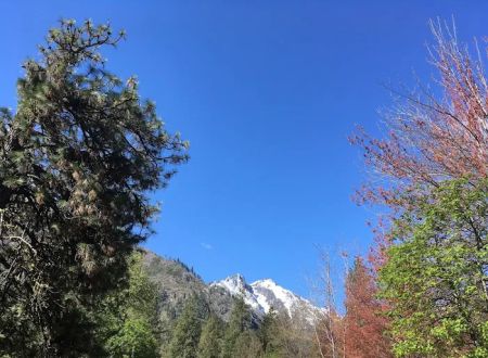 Icicle River RV Park