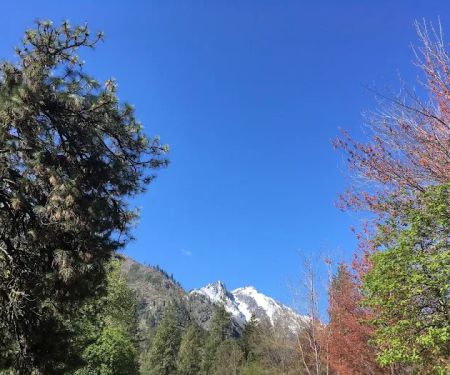 Icicle River RV Park