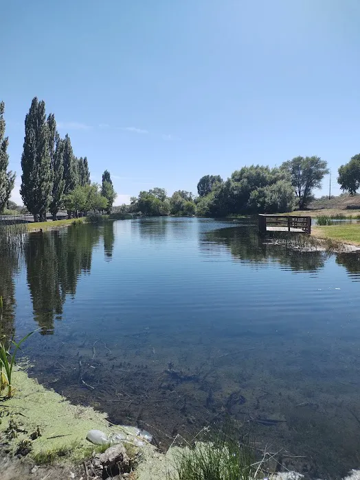 Oasis RV Park & Golf Course Picture 3