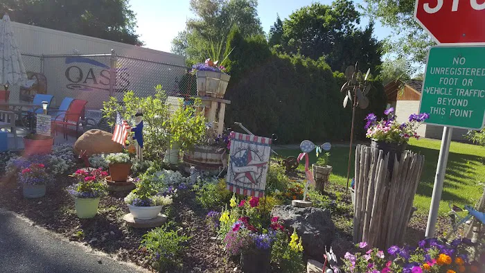 Oasis RV Park & Golf Course Picture 8